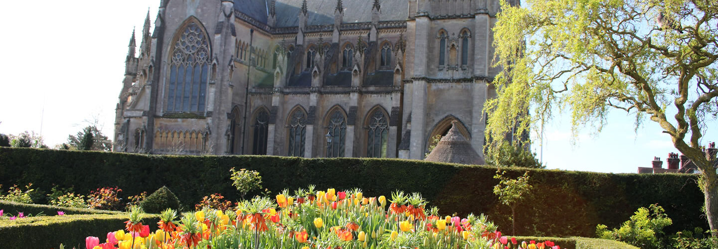 Arundel Spring Tulips.
