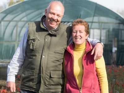 Hardys Cottage Garden Plants