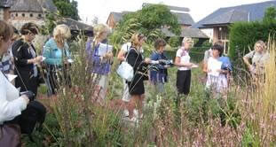 Marina Christopher of Phoenix Plants.