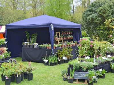 Swallowfields Nursery