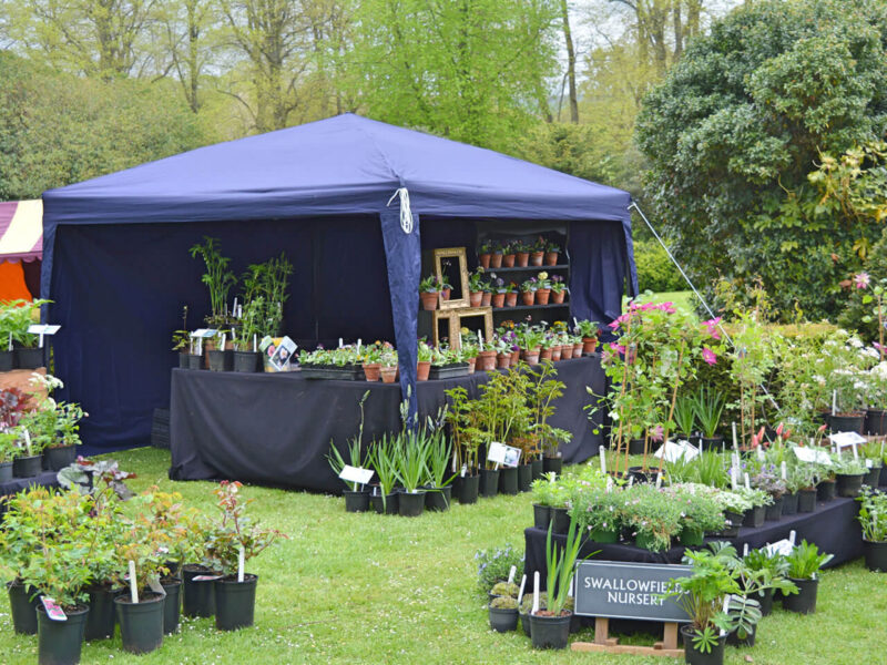 Swallowfields Nursery