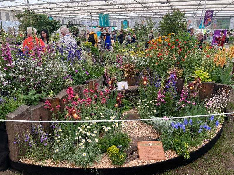 Daisy Roots stand in Great Pavilion at RHS Chelsea Flower Show 2026