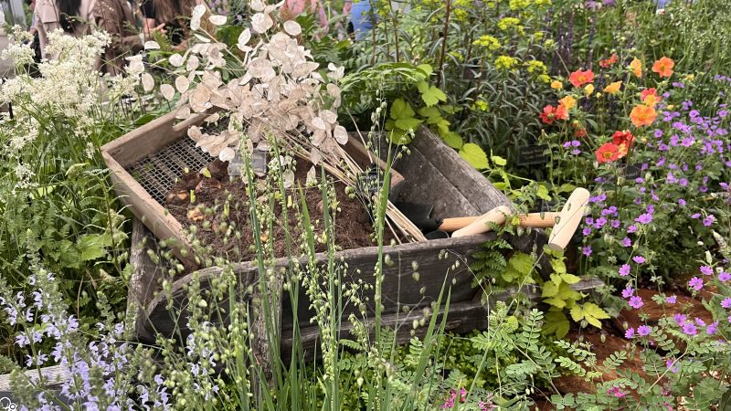 Dan Cooper Garden's specialist tools on the Pelham Plants stand at RHS Chelsea Flower Show 2026