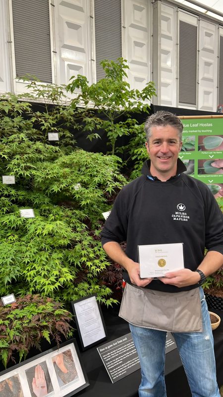 Miles of Miles Japanese Maples holds his Gold medal at RHS Chelsea Flower Show 2026
